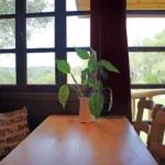 Treehouse ΛΙΛΗ Treehouse ΛΙΛΗ