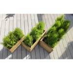 Ξύλινη γλάστρα παραλληλόγραμμη 28(Υ) x 30 x 70εκ. Ξύλινη γλάστρα παραλληλόγραμμη 28(Υ) x 30 x 70εκ.