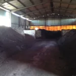ΚΟΠΡΙΑ ΚΟΤΑΣ ΚΟΠΡΙΑ ΚΟΤΑΣ