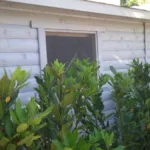 ΣΙΤΕΣ ΠΑΡΑΘΥΡΩΝ ΣΙΤΕΣ ΠΑΡΑΘΥΡΩΝ