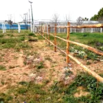 Σπιτάκι αλόγων (box) με πόρτες 32m x 3m 220Y x 260Yεκ Σπιτάκι αλόγων (box) με πόρτες 32m x 3m 220Y x 260Yεκ