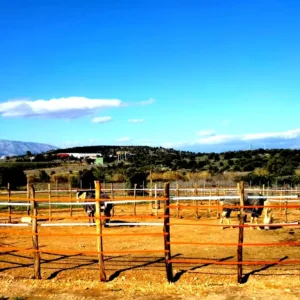 Ιππευτήριο (Round pen)