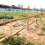 Σπιτάκι αλόγων (box) με πόρτες 32m x 3m 220Y x 260Yεκ Σπιτάκι αλόγων (box) με πόρτες 32m x 3m 220Y x 260Yεκ