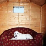 Kατασκευή πανσιόν σκύλων "I love dog" Kατασκευή πανσιόν σκύλων "I love dog"