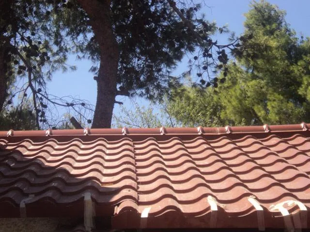 ΣΤΕΓΗ ΜΕ ΠΑΝΕΛ ΠΟΛΥΟΥΡΕΘΑΝΗΣ