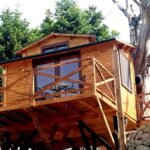 Treehouse Αγγελική Treehouse Αγγελική