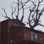 Treehouse Αγγελική Treehouse Αγγελική