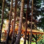 Treehouse Αγγελική Treehouse Αγγελική