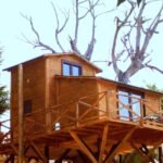 Treehouse Αγγελική Treehouse Αγγελική