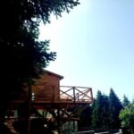 Treehouse Αγγελική Treehouse Αγγελική