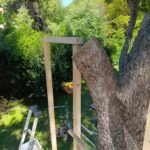 Treehouse Ζαϊρα Treehouse Ζαϊρα