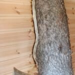 Treehouse Ζαϊρα Treehouse Ζαϊρα