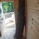 Treehouse Ζαϊρα Treehouse Ζαϊρα