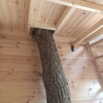 Treehouse Ζαϊρα Treehouse Ζαϊρα