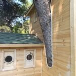 Treehouse Ζαϊρα Treehouse Ζαϊρα