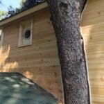 Treehouse Ζαϊρα Treehouse Ζαϊρα