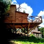 Treehouse Αγγελική Treehouse Αγγελική